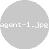 Agent